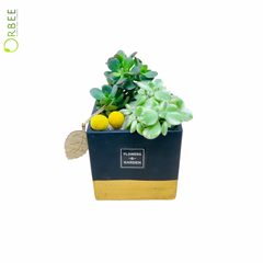 Bold Greens Succulent Planter