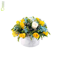 Harmony in Bloom Rose