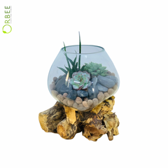 Nature’s Charm Succulent Bowl