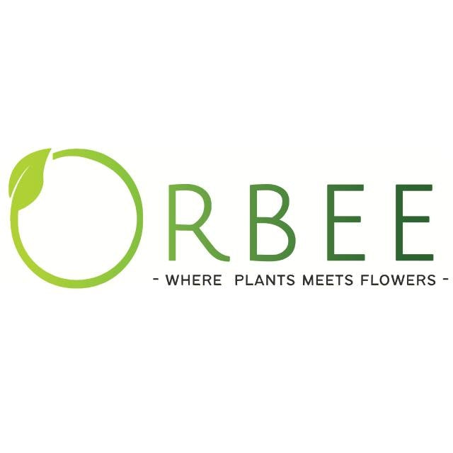 Buy Customized Fresh Flower Bouquets from Orbee for your loved ones birthday  – orbeeflowers