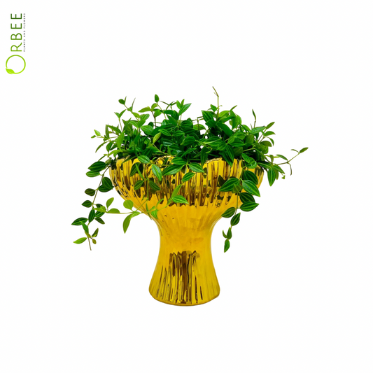 Peperomia in Luxe Golden Pedestal Planter