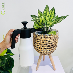 Pressure Spray Solare