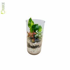 Elegant Vertical Terrarium in Glass Vase