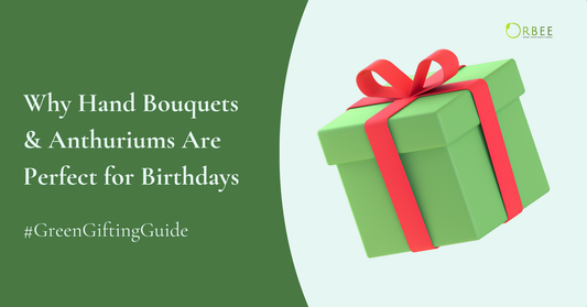 Green Gifting Guide: Why Hand Bouquets & Anthuriums Are Perfect for Birthdays
