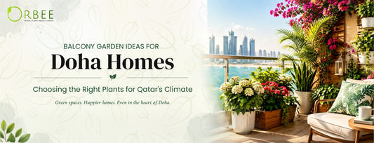 Balcony Garden Ideas in Doha: Choosing the Right Plants