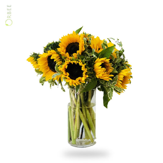 Be My Sunshine