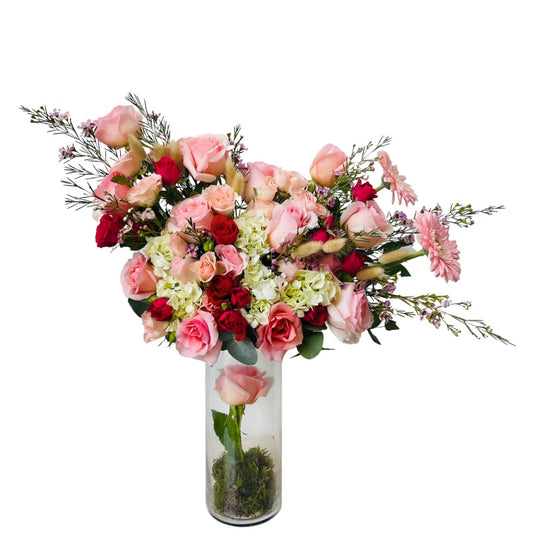 Beautiful Blossoms