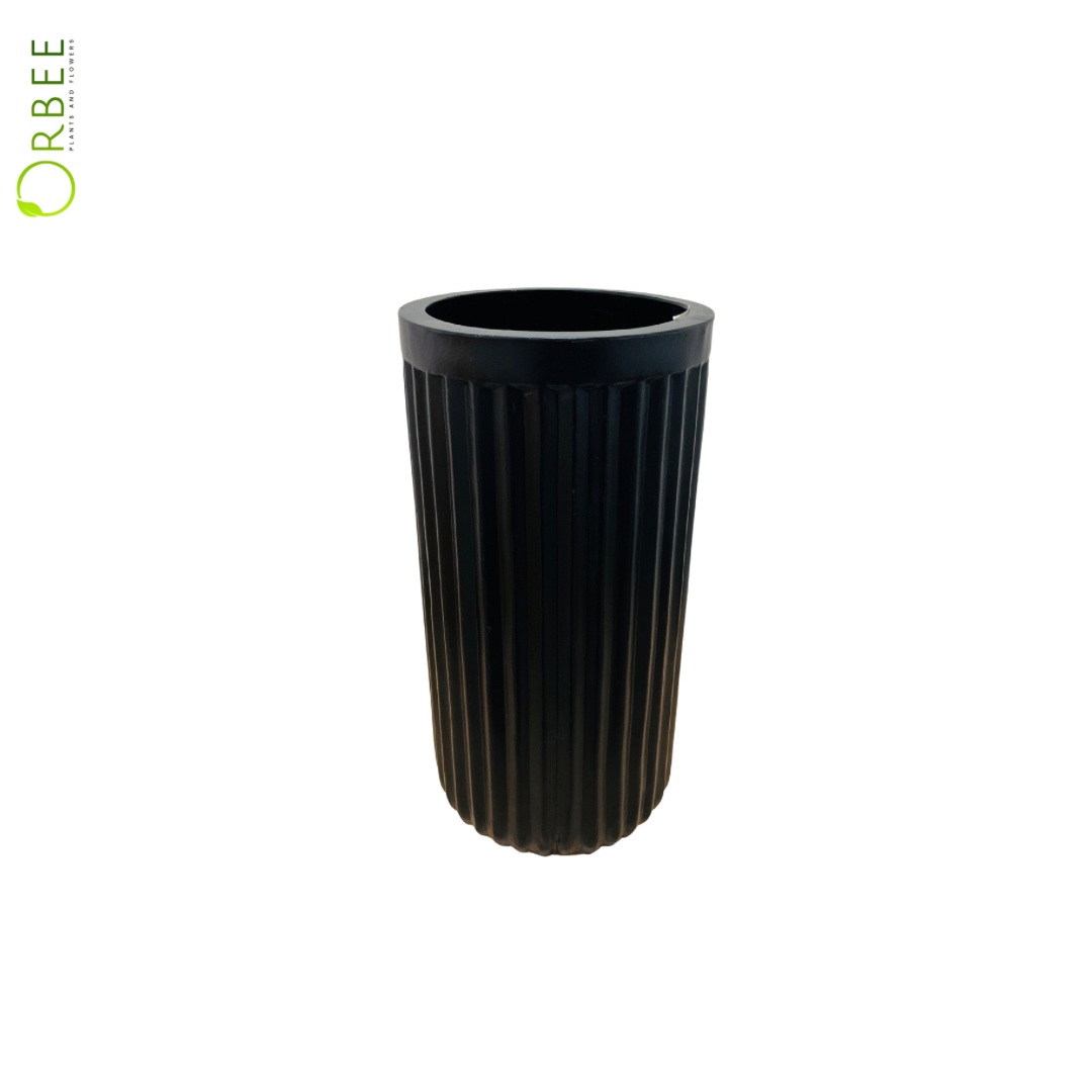 Modern Minimalist Design
