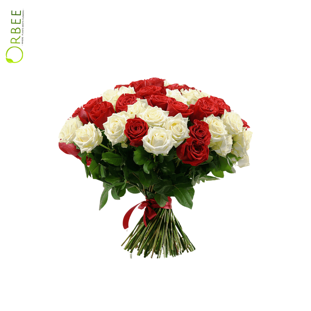 Red Rose and White Rose Bunch