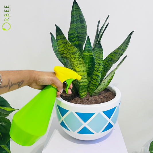 Hand Sprayer Energie