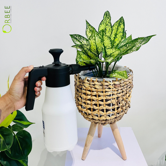 Pressure Spray Solare