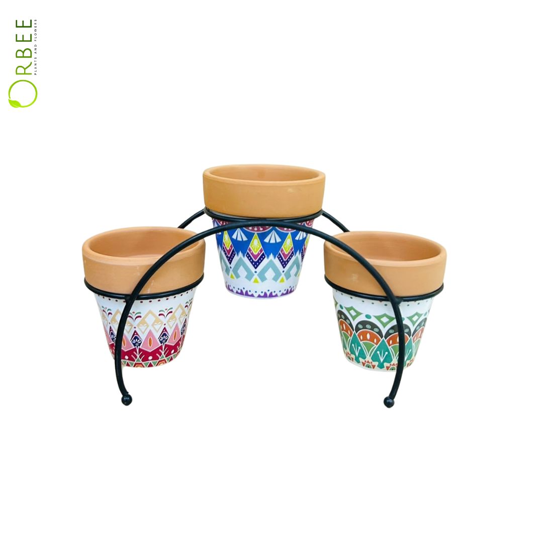 Rainbow Stand Pot