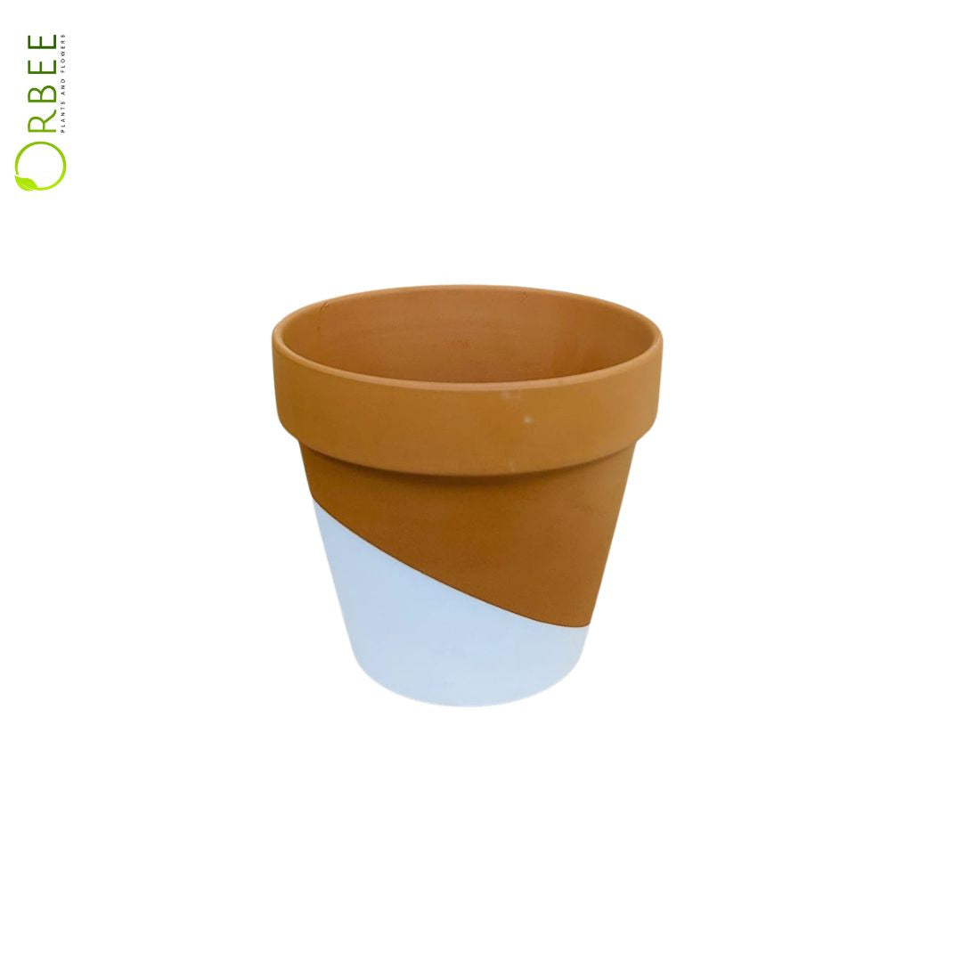 Teracotta Pot